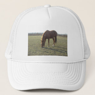 Casquette Cheval couleur châtaignier
