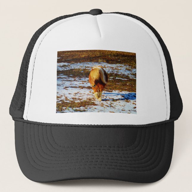 Casquette Cheval miniature Brown et crème dans la neige. (Devant)