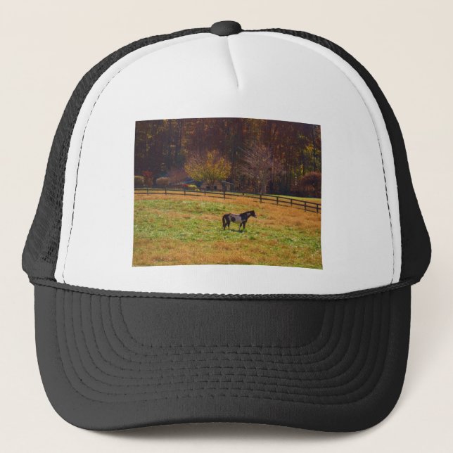 Casquette Cheval peint à distance (Devant)