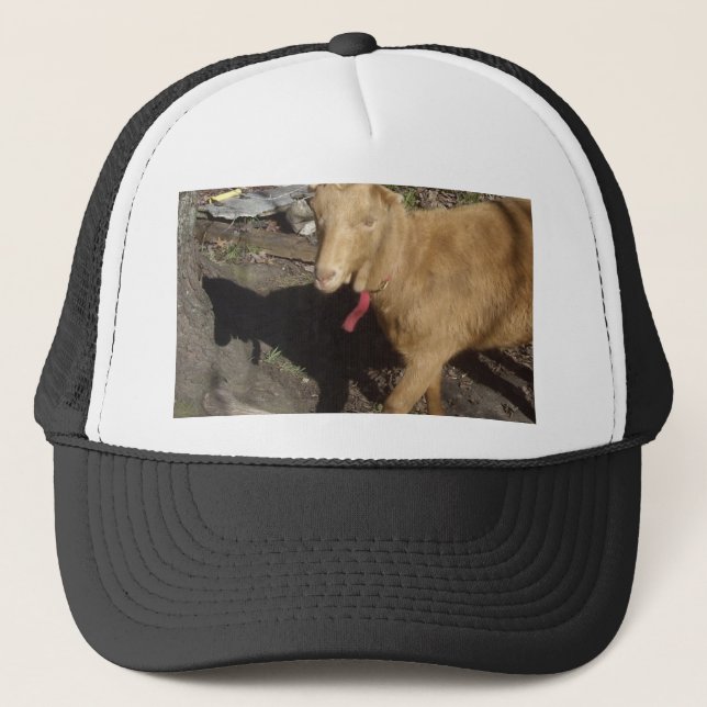 Casquette Chèvre Brown (Devant)