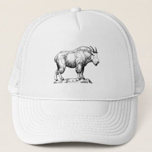 Casquette Chèvre de montagne