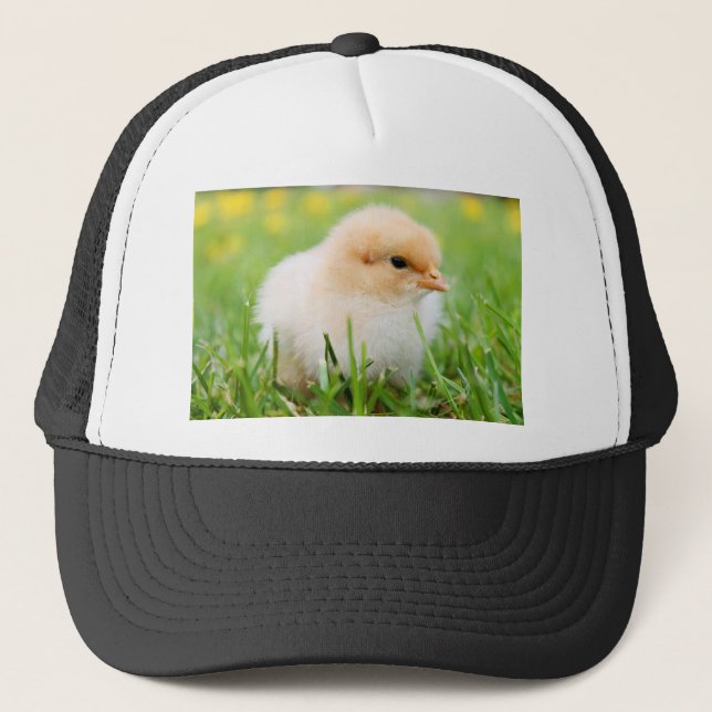 Casquette Chick (Devant)