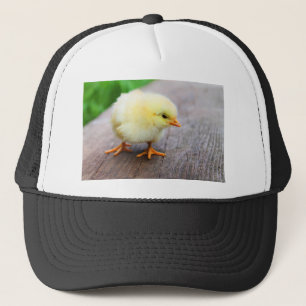 Casquette Chick de Pâques