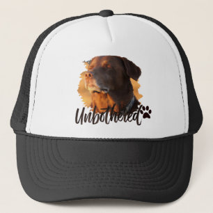 Casquette Chien à l'heure dorée imperturbable – Minimaliste 