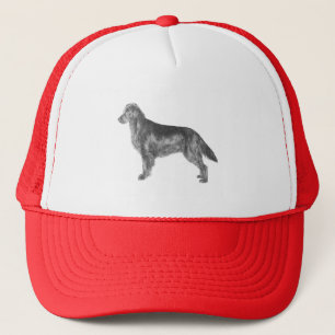 Casquette Chien d'arrêt enduit plat