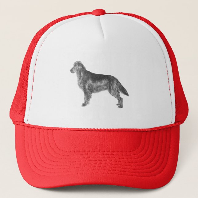 Casquette Chien d'arrêt enduit plat (Devant)