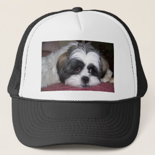 Casquette Chien de Shih Tzu