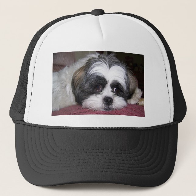 Casquette Chien de Shih Tzu (Devant)