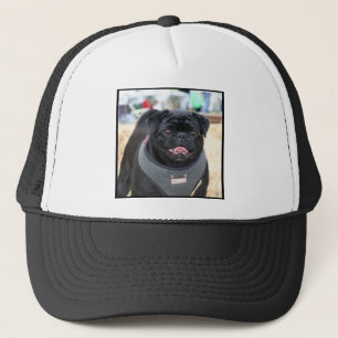 Casquette Chien noir de carlin