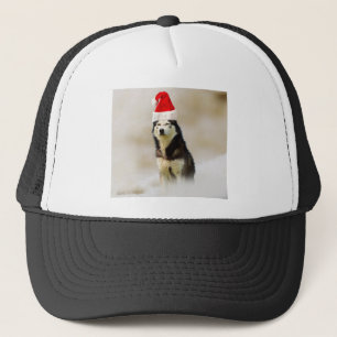 Casquette Chien sibérien Husky avec chapeau de Santa Hat en 