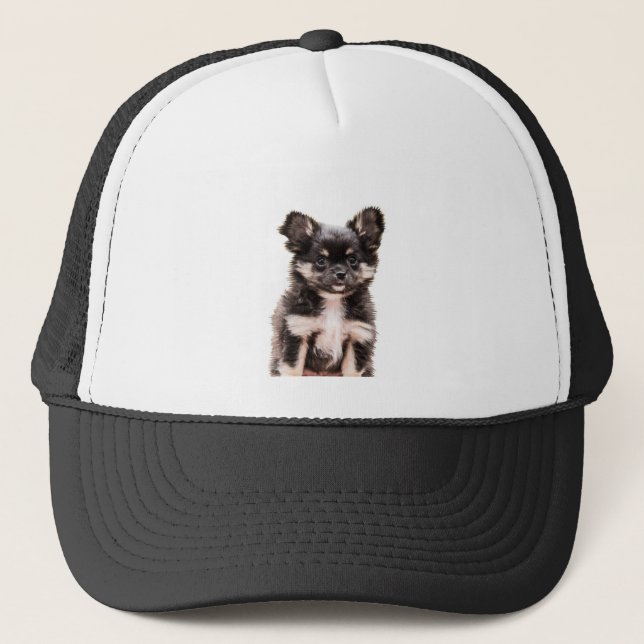 Casquette Chihuahua Chien chiot (Devant)