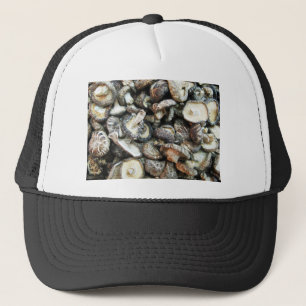 Casquette Chiitake Musrooms