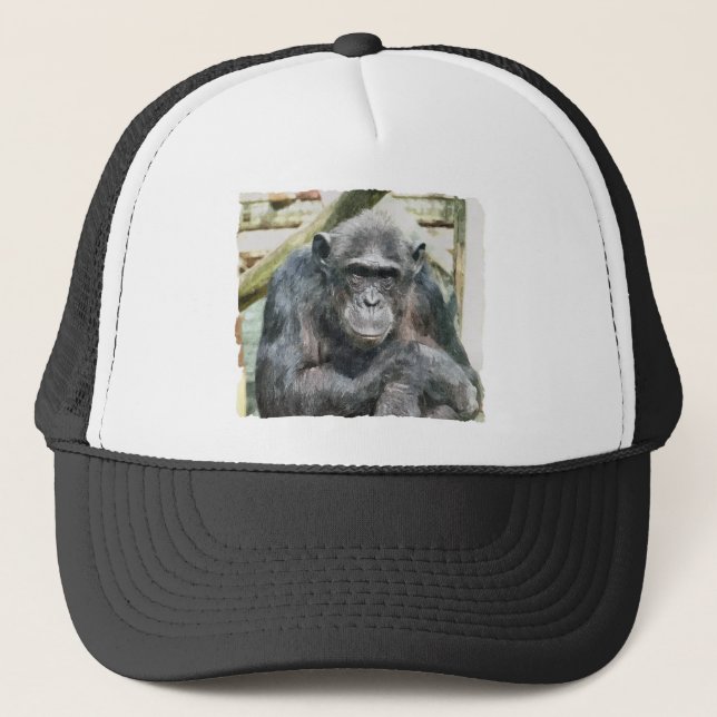 CASQUETTE CHIMPANZÉS (Devant)