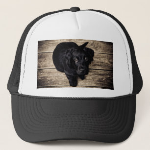 Casquette Chiot de récupération du Labrador noir sur bois