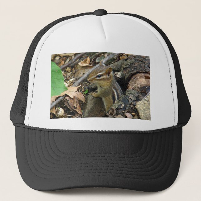 Casquette Chipmunk oriental - Tamias striatus (Devant)