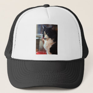 Casquette Chloe Licks