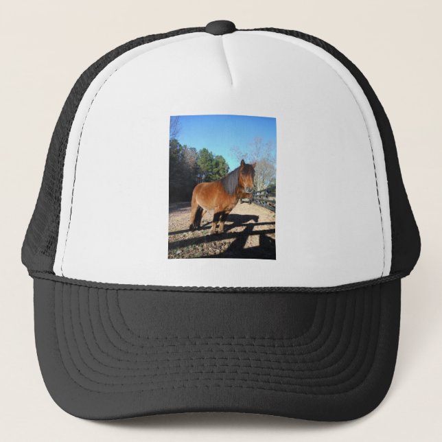 Casquette Ciel turquoise de poney Brown (Devant)