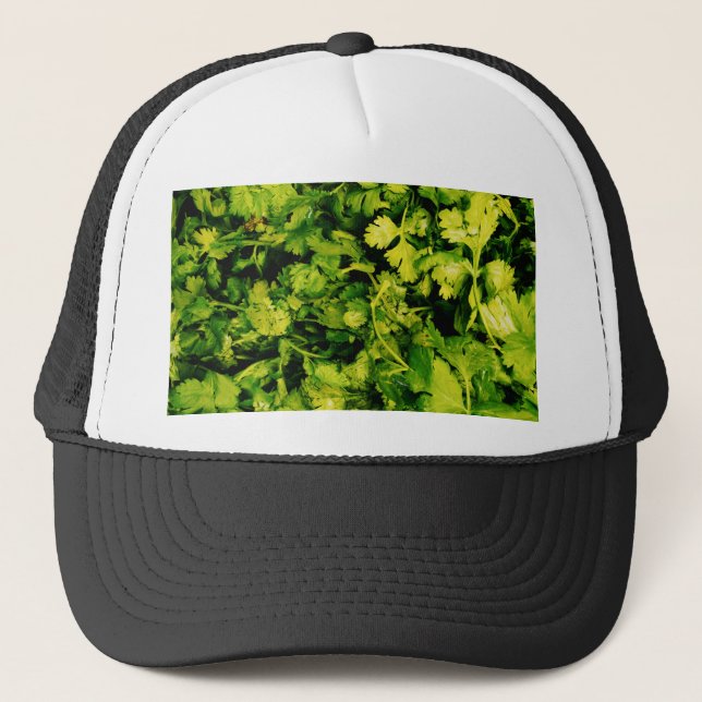 Casquette Cilantro / Coriander Feuilles (Devant)