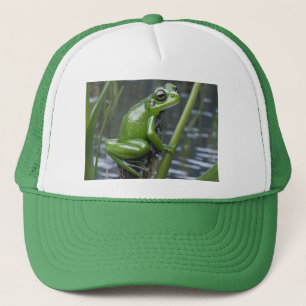 Casquette "Clarté cristalline : Grenouille verte en verre su