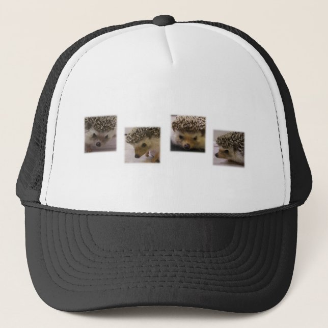 Casquette Clouez le Hedgie (Devant)