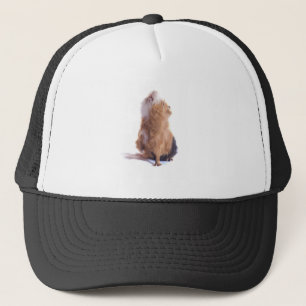 Casquette cobaye,