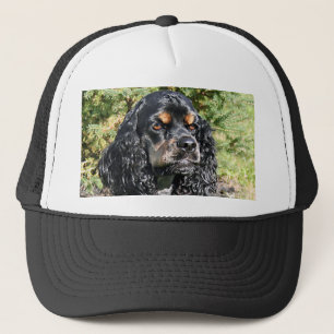 Casquette Cocker Spaniel