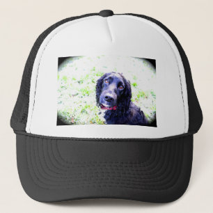 Casquette Cocker Spaniel
