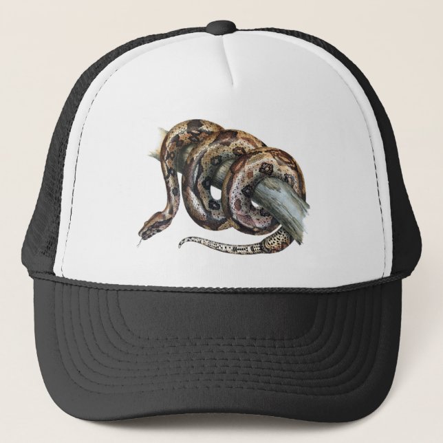 Casquette Constricteur de boa (Devant)