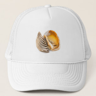 Casquette Coquille