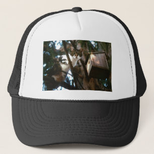 Casquette Coupable !