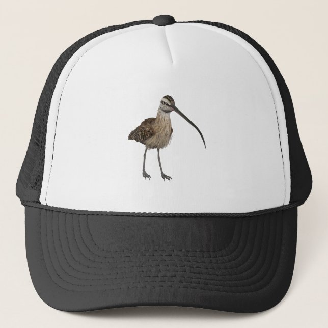 Casquette Courlis cendré Long-Affiché (Devant)