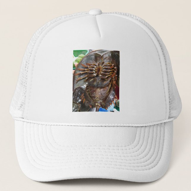 Casquette Crabe à fer à cheval ... Restauration asiatique th (Devant)