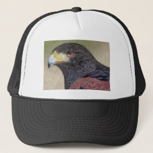 Casquette Crayons de couleur Harris Hawk