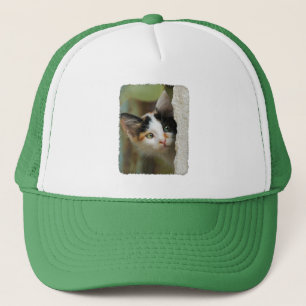 Casquette Cuisine curieuse Chat Kitten Portrait des yeux de