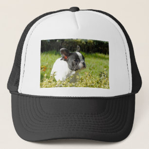 Casquette Cute French bulldog on grass