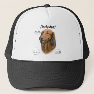 Casquette Dachshund (longhair) Conception de l'histoire