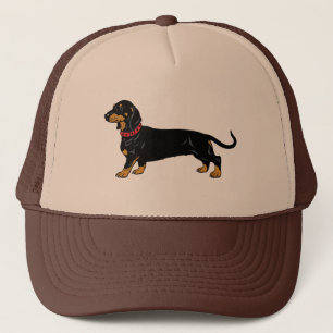 Casquette Dachshund race de chiens