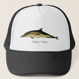 Casquette Dauphin Delphinus Delphis, Animaux Marins Vintage