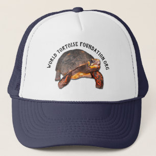 Casquette de base de tortue du monde