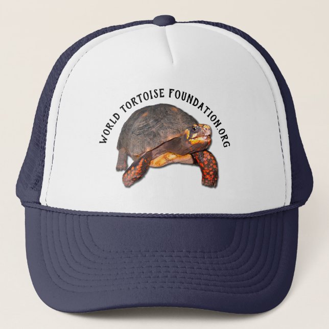 Casquette de base de tortue du monde (Devant)