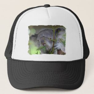 Casquette de baseball australien de koala