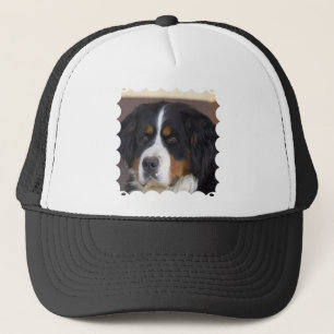 Casquette de baseball de Berner Sennenhund