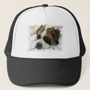 Casquette de baseball de chien de St Bernard