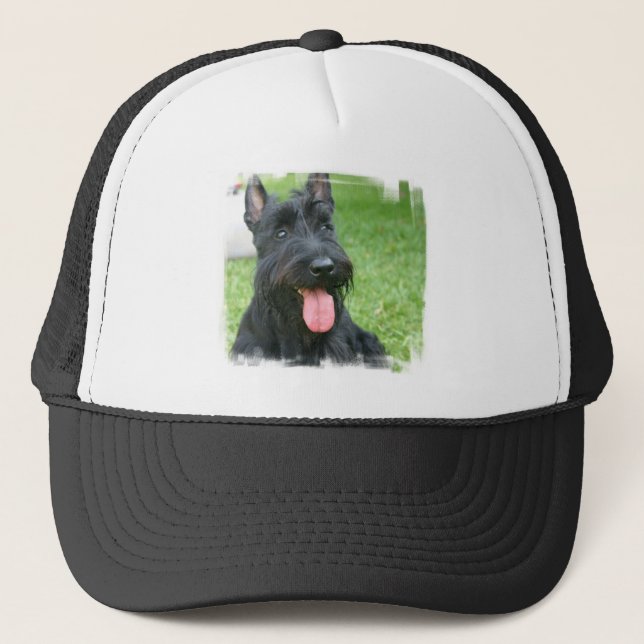 Casquette de baseball de chien de Terrier (Devant)