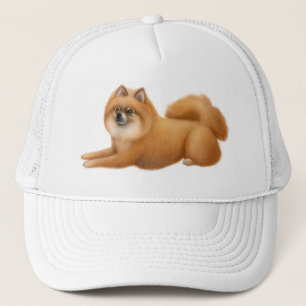 Casquette de baseball de Pomeranian