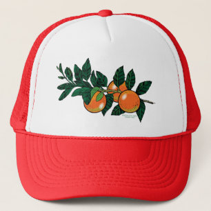 casquette de branche d'agrume