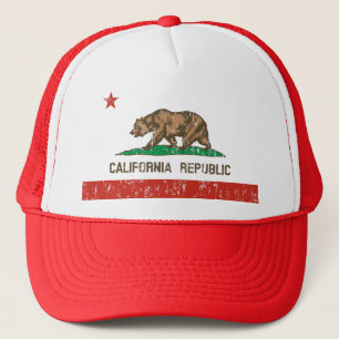 Casquette de camionneur de drapeau d'état de