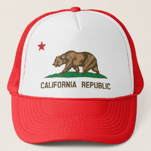 Casquette de camionneur de drapeau d'état de la
