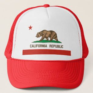 Casquette de camionneur de drapeau d'état de la
