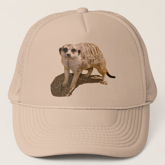 Casquette de camionneur d'image de Meerkat (Devant)